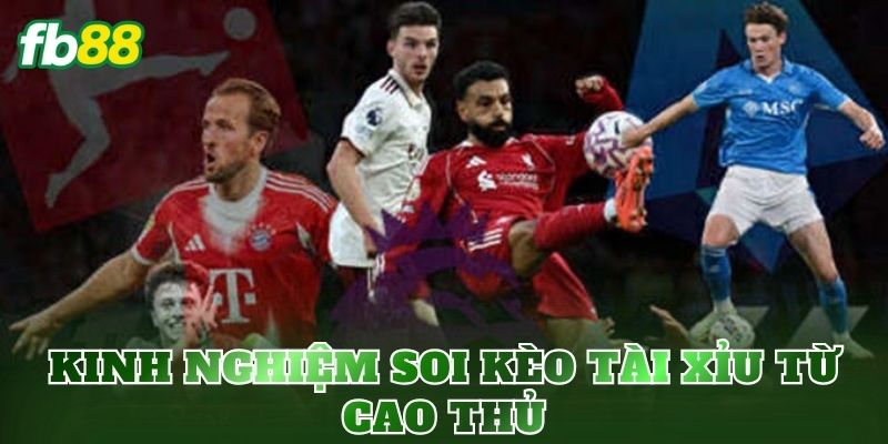 Kinh nghiệm soi kèo tài xỉu từ cao thủ