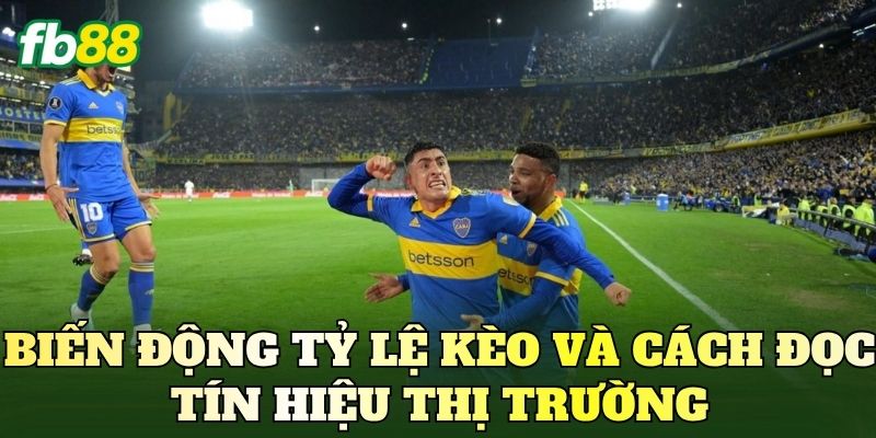 Biến động tỷ lệ kèo và cách đọc tín hiệu thị trường