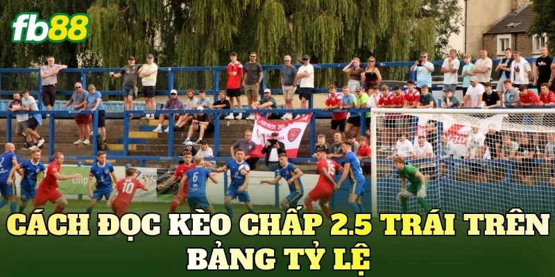 Cách đọc kèo chấp 2.5 trái trên bảng tỷ lệ