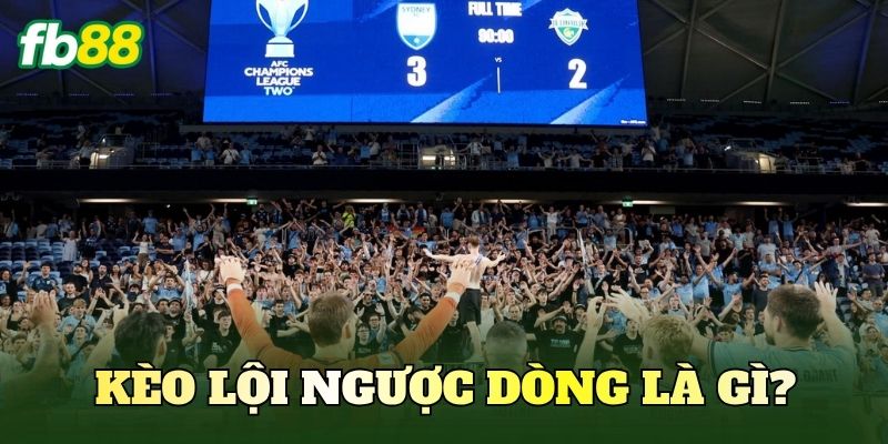 Kèo lội ngược dòng là gì?
