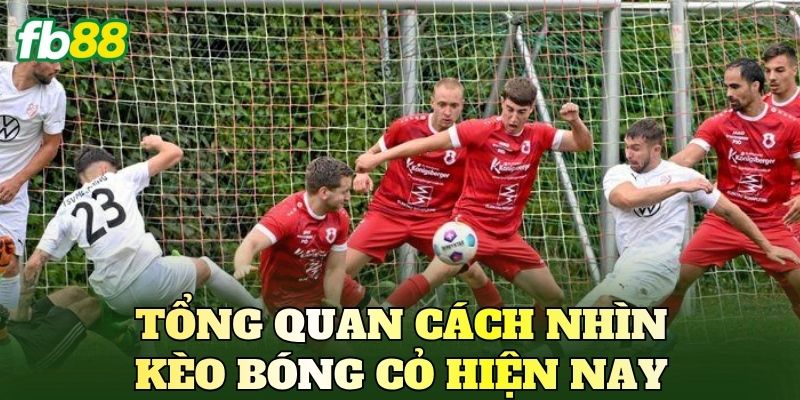 Tổng quan cách nhìn kèo bóng cỏ hiện nay