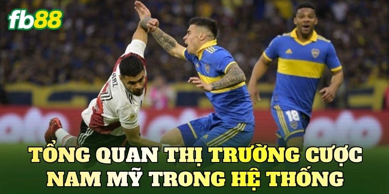 Tổng quan thị trường cược Nam Mỹ trong hệ thống