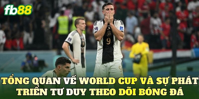 Tổng quan về World Cup và sự phát triển tư duy theo dõi bóng đá