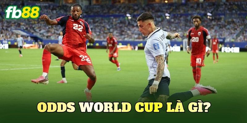 Odds World Cup là gì?
