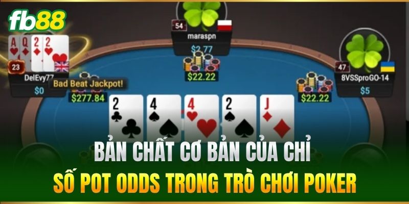 Bản chất cơ bản của chỉ số pot odds trong trò chơi Poker