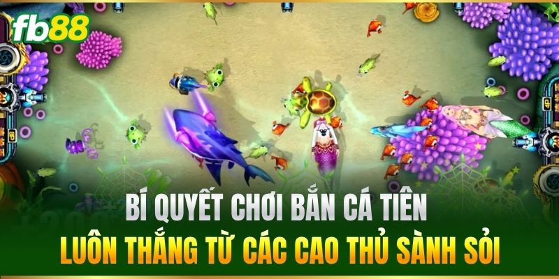 Bí quyết chơi Bắn Cá Tiên luôn thắng từ các cao thủ sành sỏi