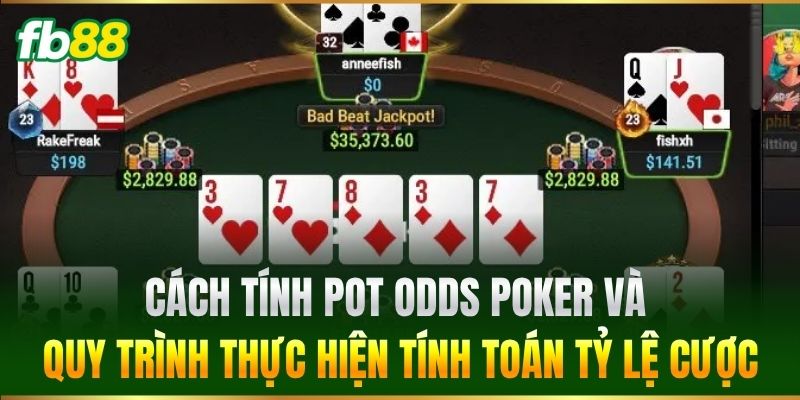 Cách Tính Pot Odds Poker và quy trình thực hiện tính toán tỷ lệ cược
